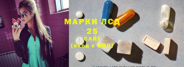 тгк Богородицк