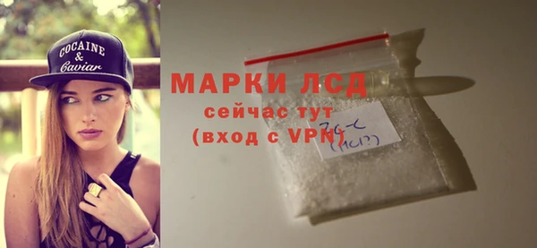 ГАЛЛЮЦИНОГЕННЫЕ ГРИБЫ Богданович