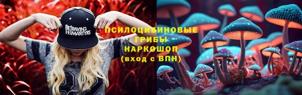 крисы Верхнеуральск